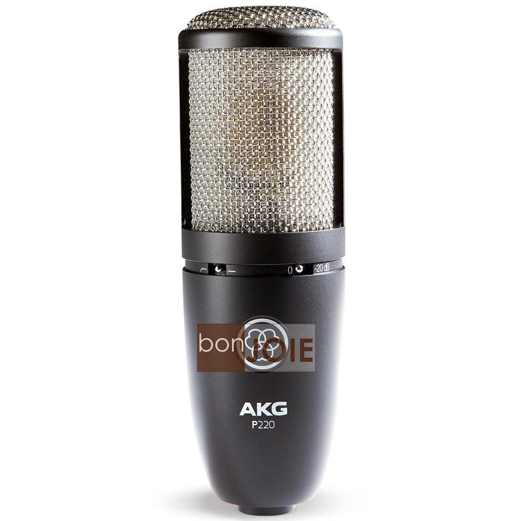 AKG P220 專業版 電容式麥克風 附手提箱 防震架 Microphone MIC-細節圖2