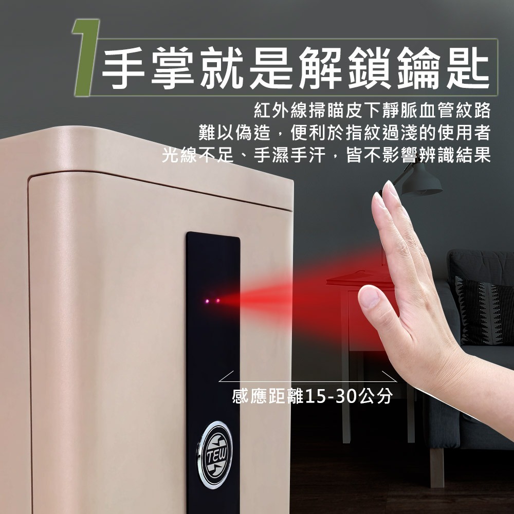 台熱牌 掌靜脈/密碼/鑰匙 電子保險箱TES-70G-細節圖3