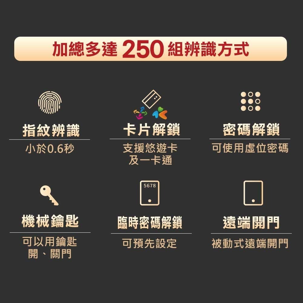 台熱牌把手式電子鎖H1(指紋/密碼/卡片/鑰匙/APP遠端開門)(附基本安裝)-細節圖3
