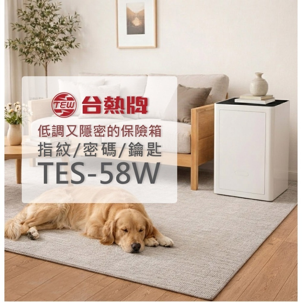 台熱牌 指紋/密碼/鑰匙/遠端控制保險箱TES-58W/TES-45W-細節圖2