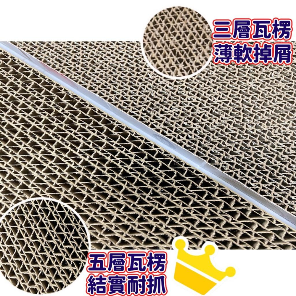 貓抓板 大尺寸貓抓板 [單片試抓專屬賣場] 不掉屑貓抓板 MIT台灣製貓咪貓抓板 貓咪玩具寵物用品貓隨道 [仙貓倉庫]-細節圖4