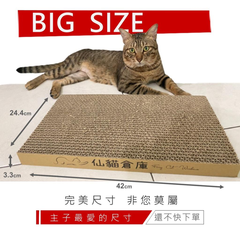 貓抓板 大尺寸貓抓板 [單片試抓專屬賣場] 不掉屑貓抓板 MIT台灣製貓咪貓抓板 貓咪玩具寵物用品貓隨道 [仙貓倉庫]-細節圖5