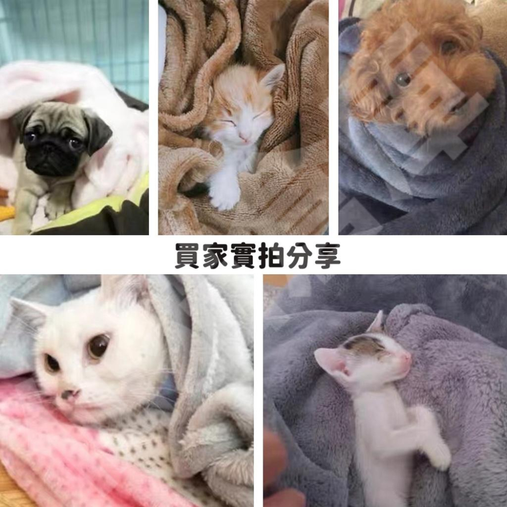 寵物毛毯 法蘭絨寵物毛毯 法蘭絨加厚 毛毯 狗狗毛毯 貓窩 寵物保暖墊 寵物保暖毯 貓毯 寵物窩 睡毯 寵物床 睡窩-細節圖4