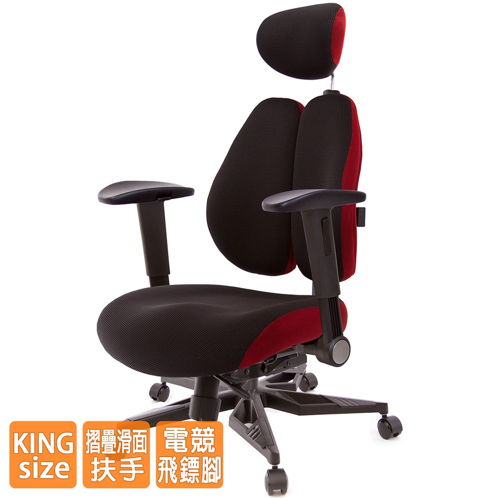 GXG 雙背DUO KING 工學椅(電競腳/摺疊滑面扶手)  型號3006 KGA1J-細節圖2