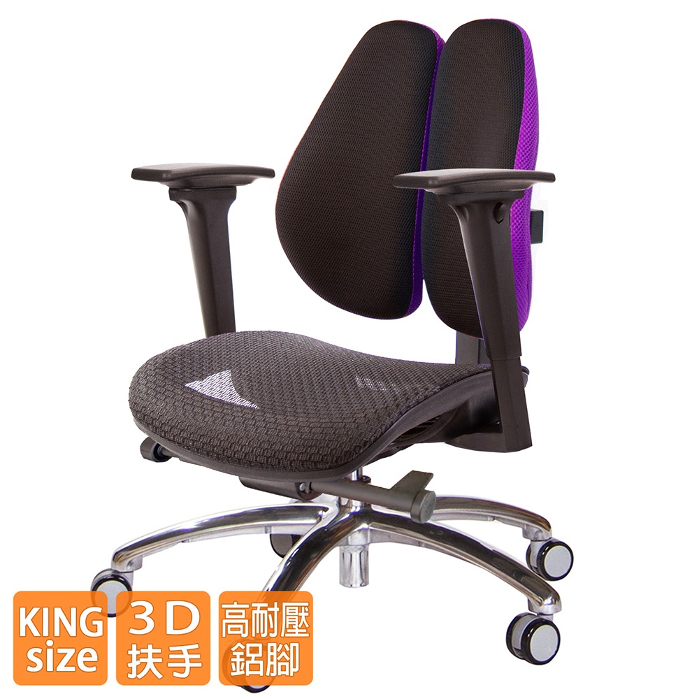 GXG 大網座 低雙背工學椅(鋁腳/3D升降扶手)  型號3075 LU9-細節圖2