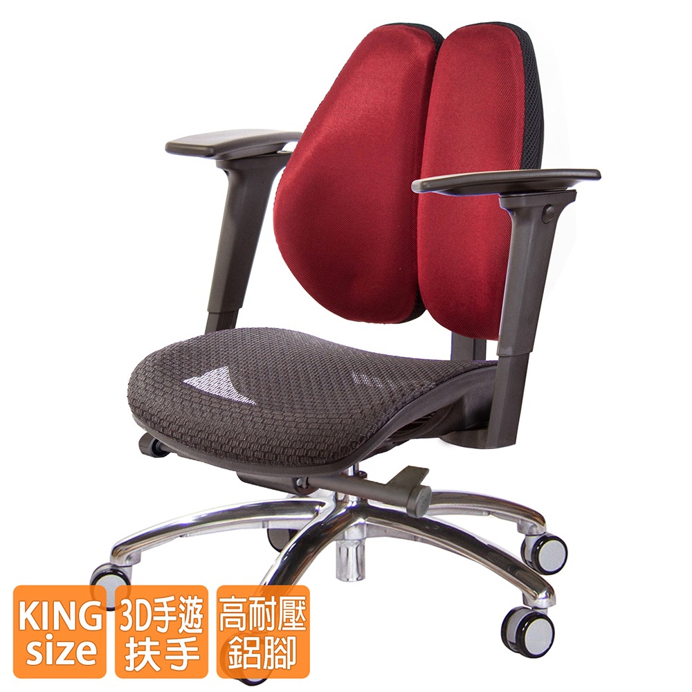 GXG 大網座 低雙背工學椅(鋁腳/3D手遊休閒扶手)  型號3075 LU9M-細節圖2