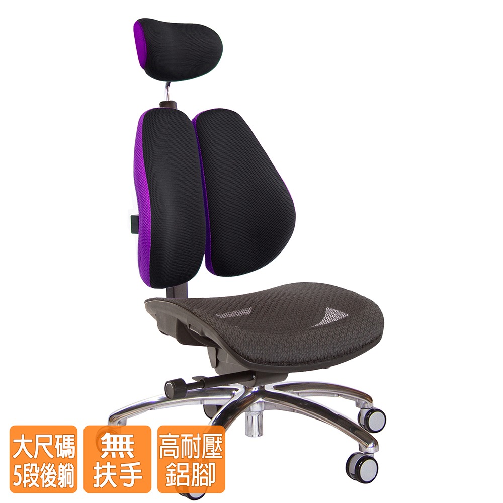 GXG 高雙背工學 電腦椅(鋁腳/無扶手)  型號3076 LUANH-細節圖2