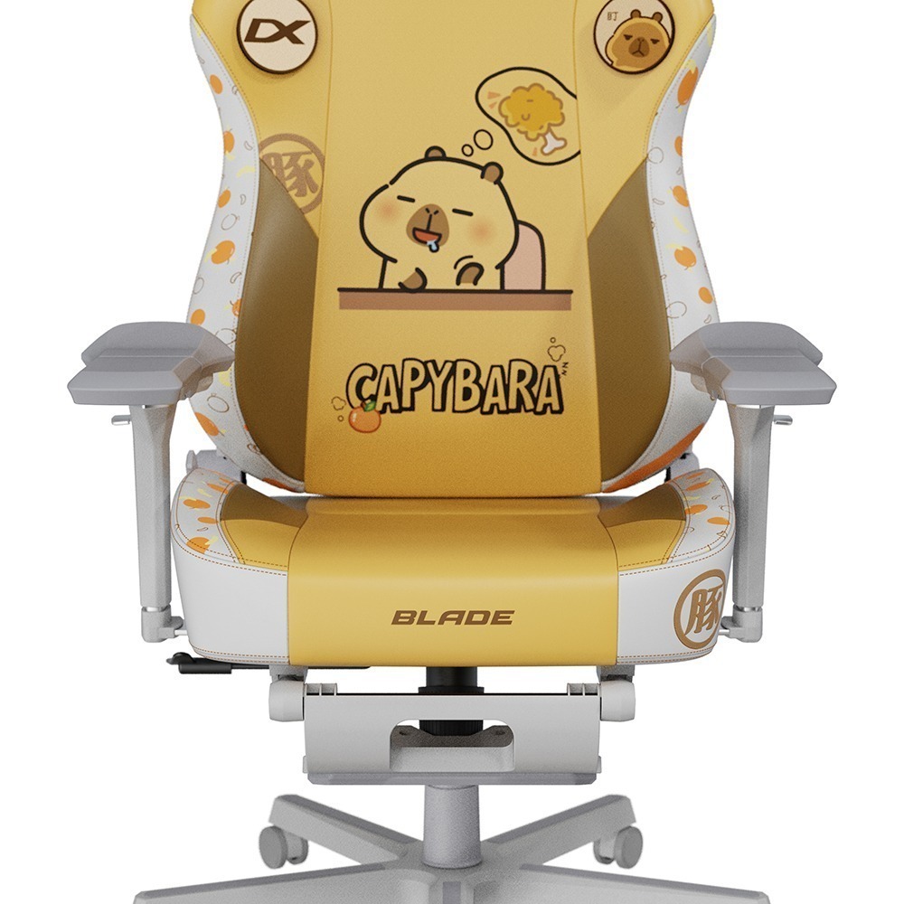 DXRACER 卡皮巴拉小黃豚 電競賽車椅(6D扶手/中型皮面)-細節圖5