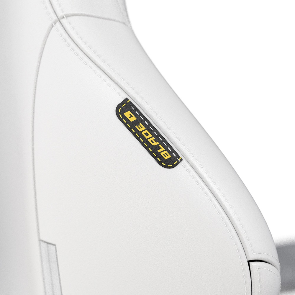 DXRACER 電競賽車椅 利刃 (6D扶手/皮面白色)-細節圖7