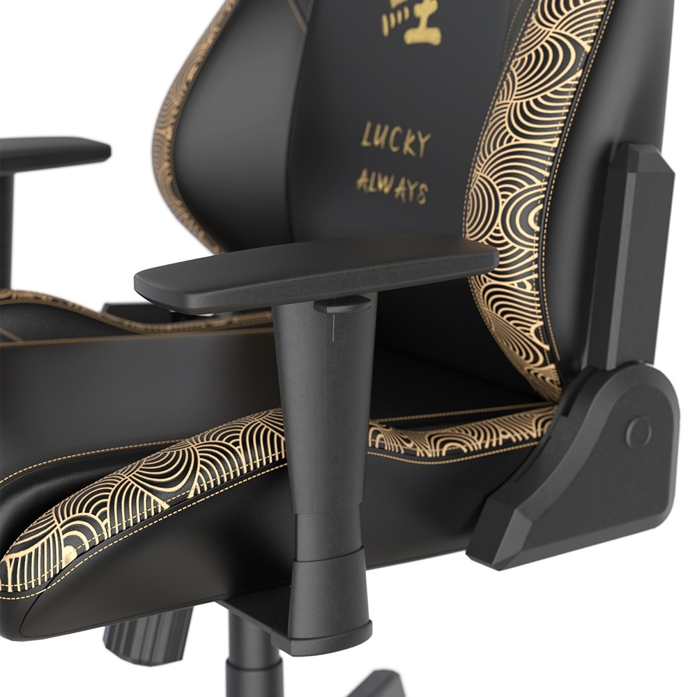 Dxracer  飄移 電競賽車椅 電繡錦鯉(皮面/黑金)-細節圖6