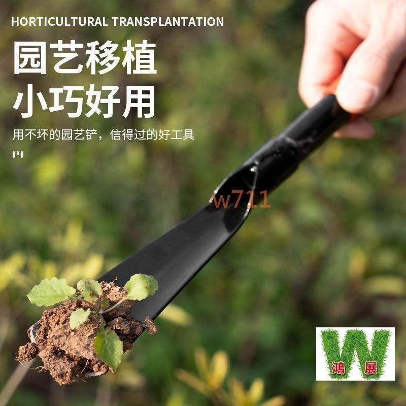 挖土鏟 園藝工具 不鏽鋼 花鏟 鐵鏟 三叉頭 寛頭 尖嘴頭 w711鴻展 現貨 蝦皮代開發票-細節圖2