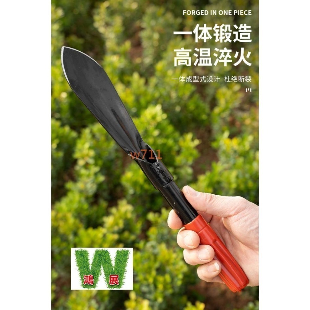 挖土鏟 園藝工具 不鏽鋼 花鏟 鐵鏟 三叉頭 寛頭 尖嘴頭 w711鴻展 現貨 蝦皮代開發票-細節圖7