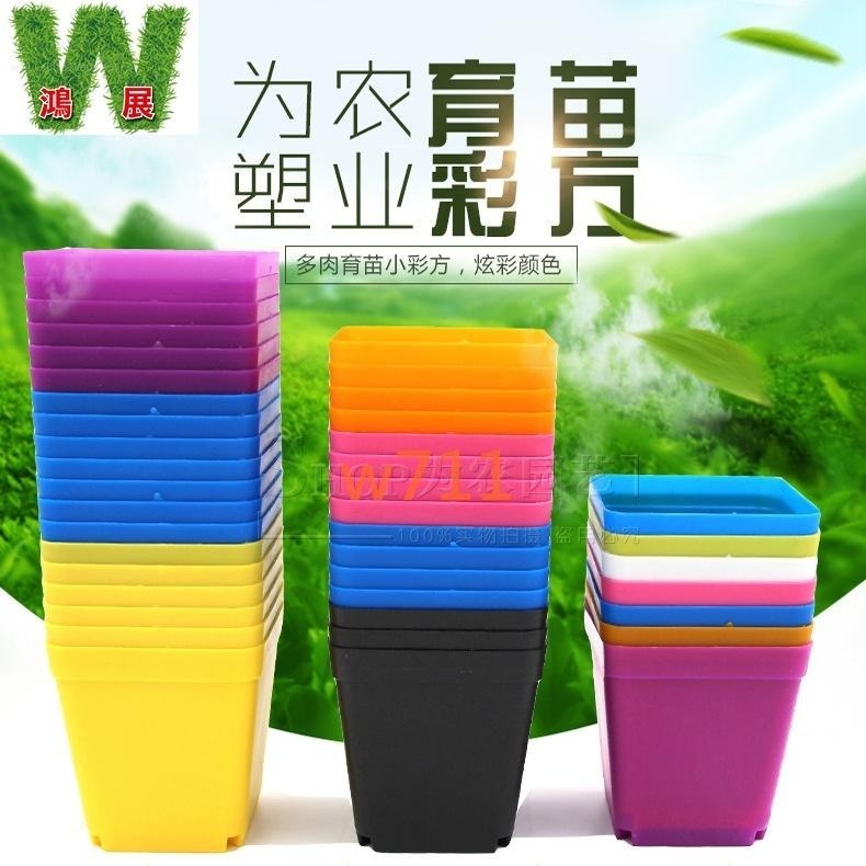 多肉 方盆 托盤 花盆 盆器 種植袋 植物 四方盆 小花盆 w711鴻展 現貨 蝦皮代開發票-細節圖2