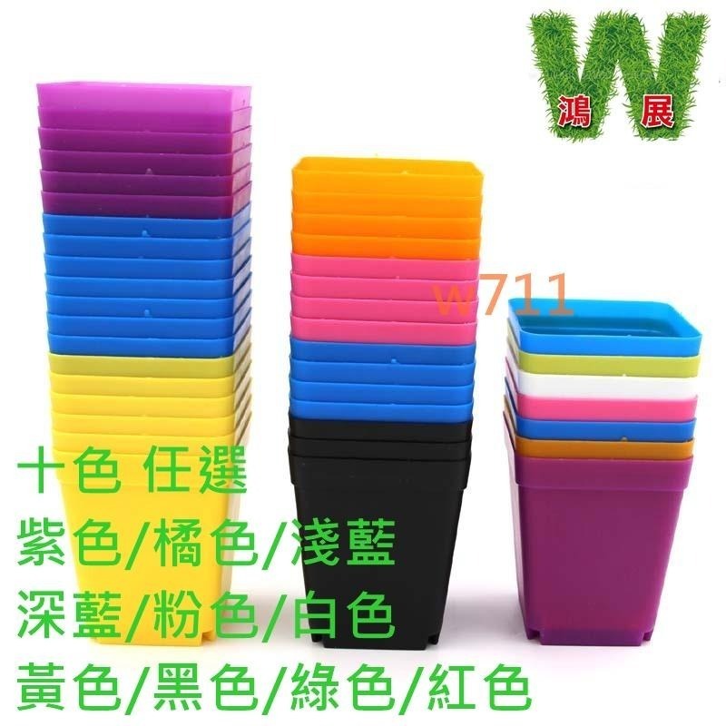 多肉 方盆 托盤 花盆 盆器 種植袋 植物 四方盆 小花盆 w711鴻展 現貨 蝦皮代開發票-細節圖4