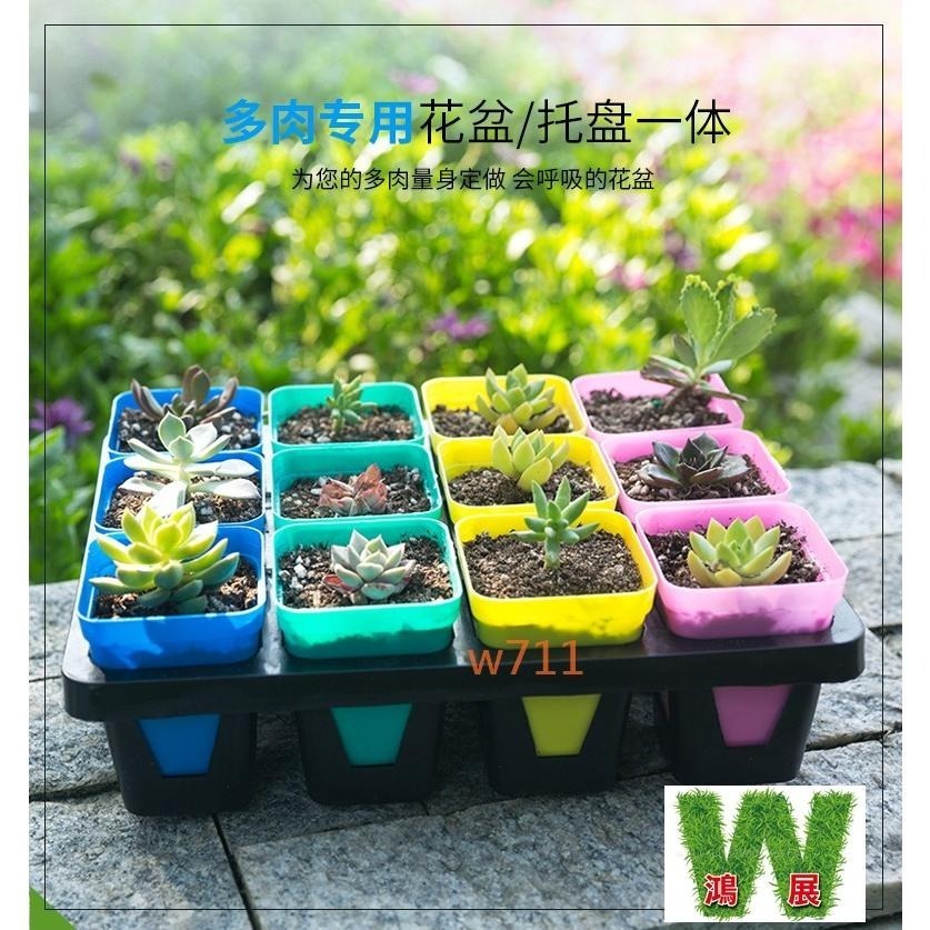 多肉 方盆 托盤 花盆 盆器 種植袋 植物 四方盆 小花盆 w711鴻展 現貨 蝦皮代開發票-細節圖6