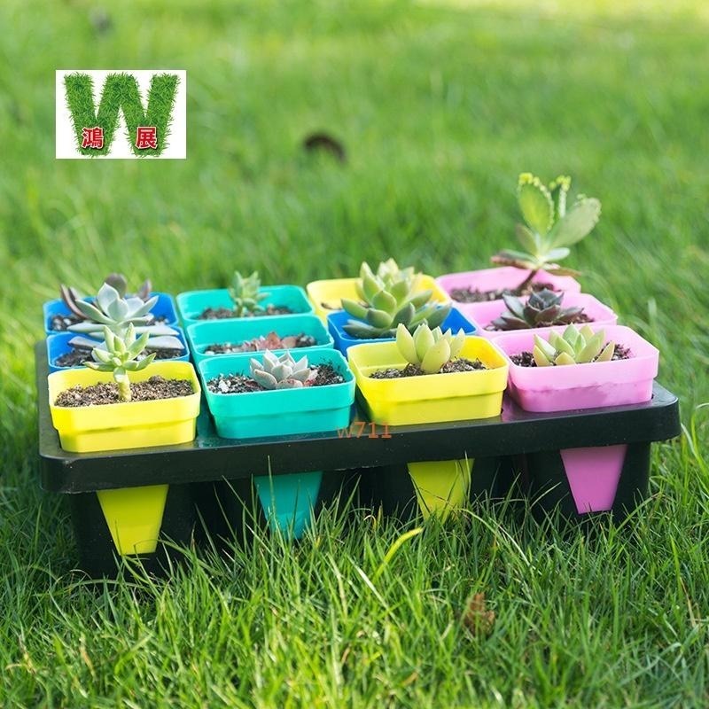 多肉 方盆 托盤 花盆 盆器 種植袋 植物 四方盆 小花盆 w711鴻展 現貨 蝦皮代開發票-細節圖7