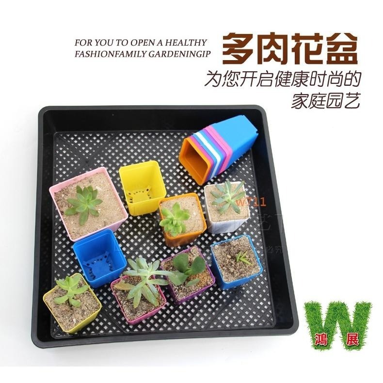 多肉 方盆 托盤 花盆 盆器 種植袋 植物 四方盆 小花盆 w711鴻展 現貨 蝦皮代開發票-細節圖8