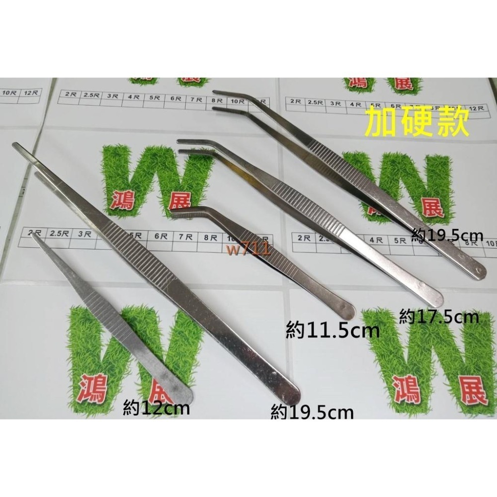 鑷子 夾子 多肉 不銹鋼鑷子 袖珍屋花盆園藝 水族 造景裝飾 苔蘚盆栽 微景觀 多肉植物 工具 <現貨+發票>w711鴻-細節圖2