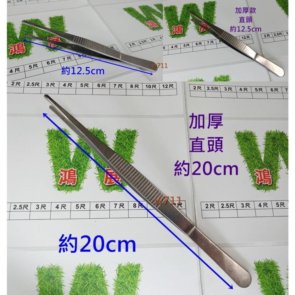 鑷子 夾子 多肉 不銹鋼鑷子 袖珍屋花盆園藝 水族 造景裝飾 苔蘚盆栽 微景觀 多肉植物 工具 <現貨+發票>w711鴻-細節圖4
