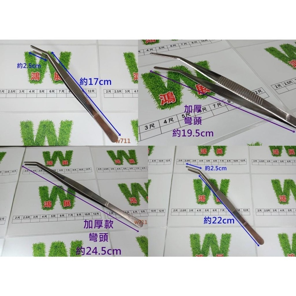鑷子 夾子 多肉 不銹鋼鑷子 袖珍屋花盆園藝 水族 造景裝飾 苔蘚盆栽 微景觀 多肉植物 工具 <現貨+發票>w711鴻-細節圖6