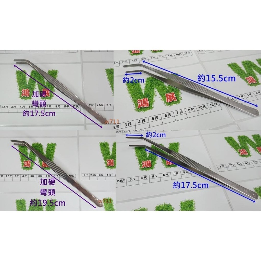 鑷子 夾子 多肉 不銹鋼鑷子 袖珍屋花盆園藝 水族 造景裝飾 苔蘚盆栽 微景觀 多肉植物 工具 <現貨+發票>w711鴻-細節圖9