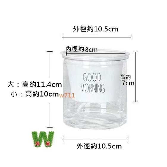 澆水 吸水 自動吸水盆 澆水盆 多肉 歐風 懶人澆水盆 免澆水 懶人福音 自動吸水 透明花盆<現貨+發票>w711 鴻展-細節圖5