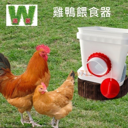 雞 鴨 雞鴨餵食器 下雨天不用擔心 飼料 淋濕 雞用品 &lt;現貨+發票&gt; w711鴻展