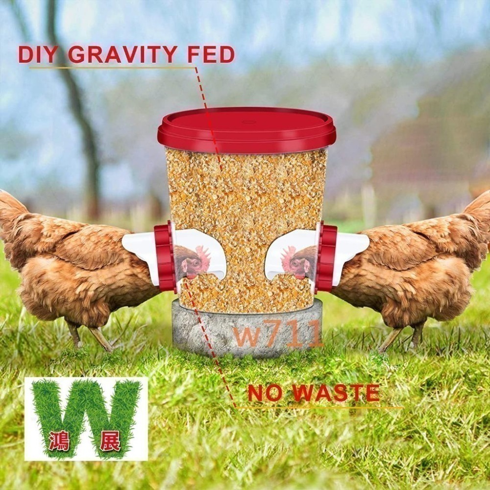 雞 鴨 雞鴨餵食器 下雨天不用擔心 飼料 淋濕 雞用品 <現貨+發票> w711鴻展-細節圖2