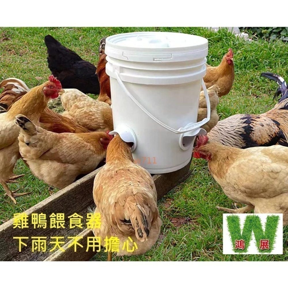 雞 鴨 雞鴨餵食器 下雨天不用擔心 飼料 淋濕 雞用品 <現貨+發票> w711鴻展-細節圖5