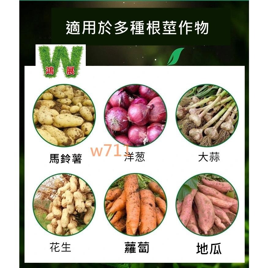 黑色美植袋 加厚移植袋 綠植袋 透氣耐磨 植栽袋 植樹袋 種植袋 育苗袋 植物袋 花卉袋-細節圖4