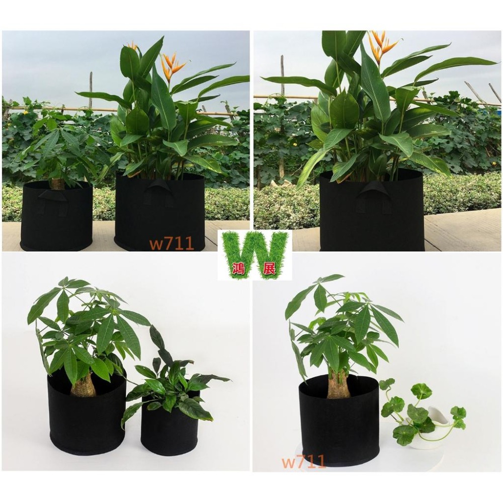 黑色美植袋 加厚移植袋 綠植袋 透氣耐磨 植栽袋 植樹袋 種植袋 育苗袋 植物袋 花卉袋-細節圖7