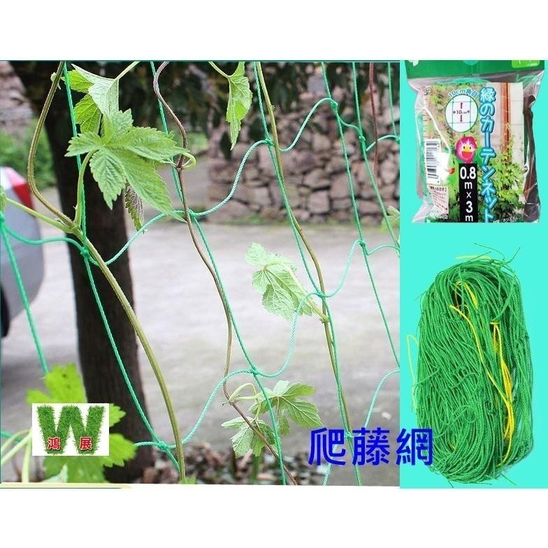 爬藤網 園藝網 苦瓜網 攀爬網 番茄網 百香果網 絲瓜網 攀藤網 植物爬藤網 園藝網 搭架網 栽培網<現貨+發票>-細節圖2