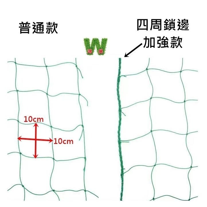 爬藤網 園藝網 苦瓜網 攀爬網 番茄網 百香果網 絲瓜網 攀藤網 植物爬藤網 園藝網 搭架網 栽培網<現貨+發票>-細節圖3