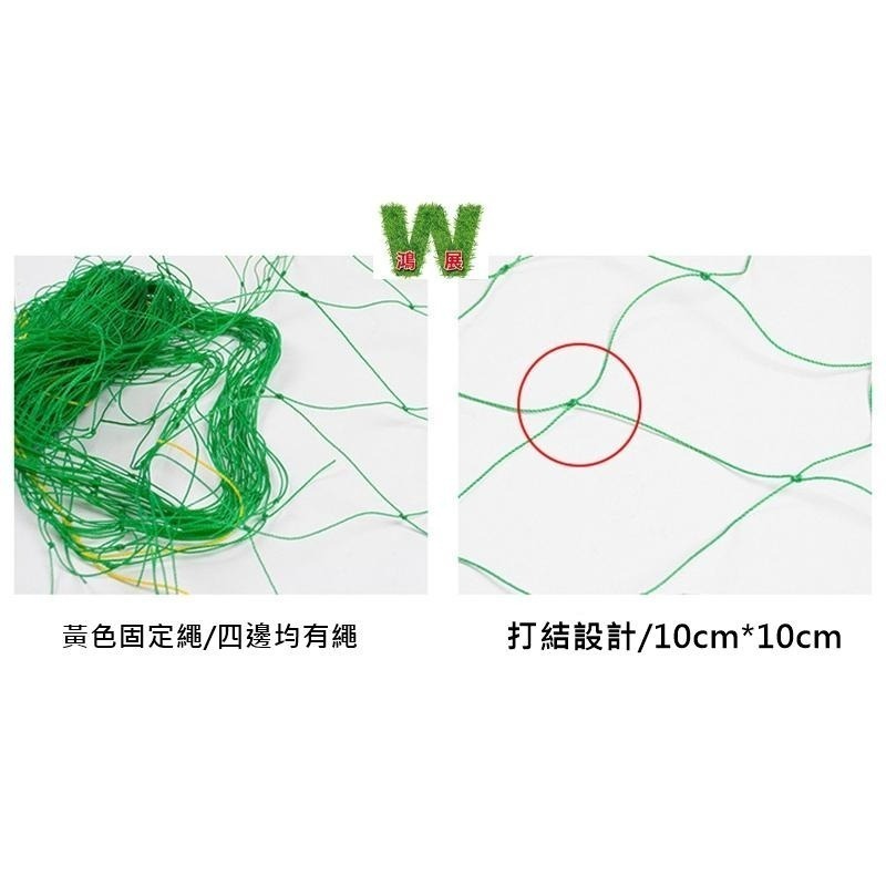 爬藤網 園藝網 苦瓜網 攀爬網 番茄網 百香果網 絲瓜網 攀藤網 植物爬藤網 園藝網 搭架網 栽培網<現貨+發票>-細節圖4