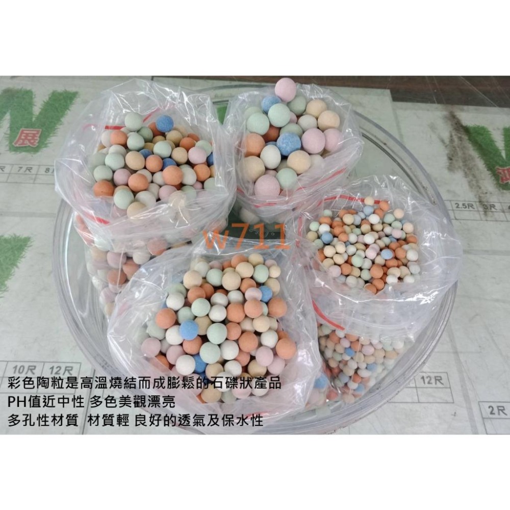 彩色陶粒 100g 彩色鋪面 彩色陶石 鋪面裝飾 水耕栽培介質 陶碳土 陶碳球 多肉土 多肉鋪面 多肉介質 w711鴻展-細節圖2