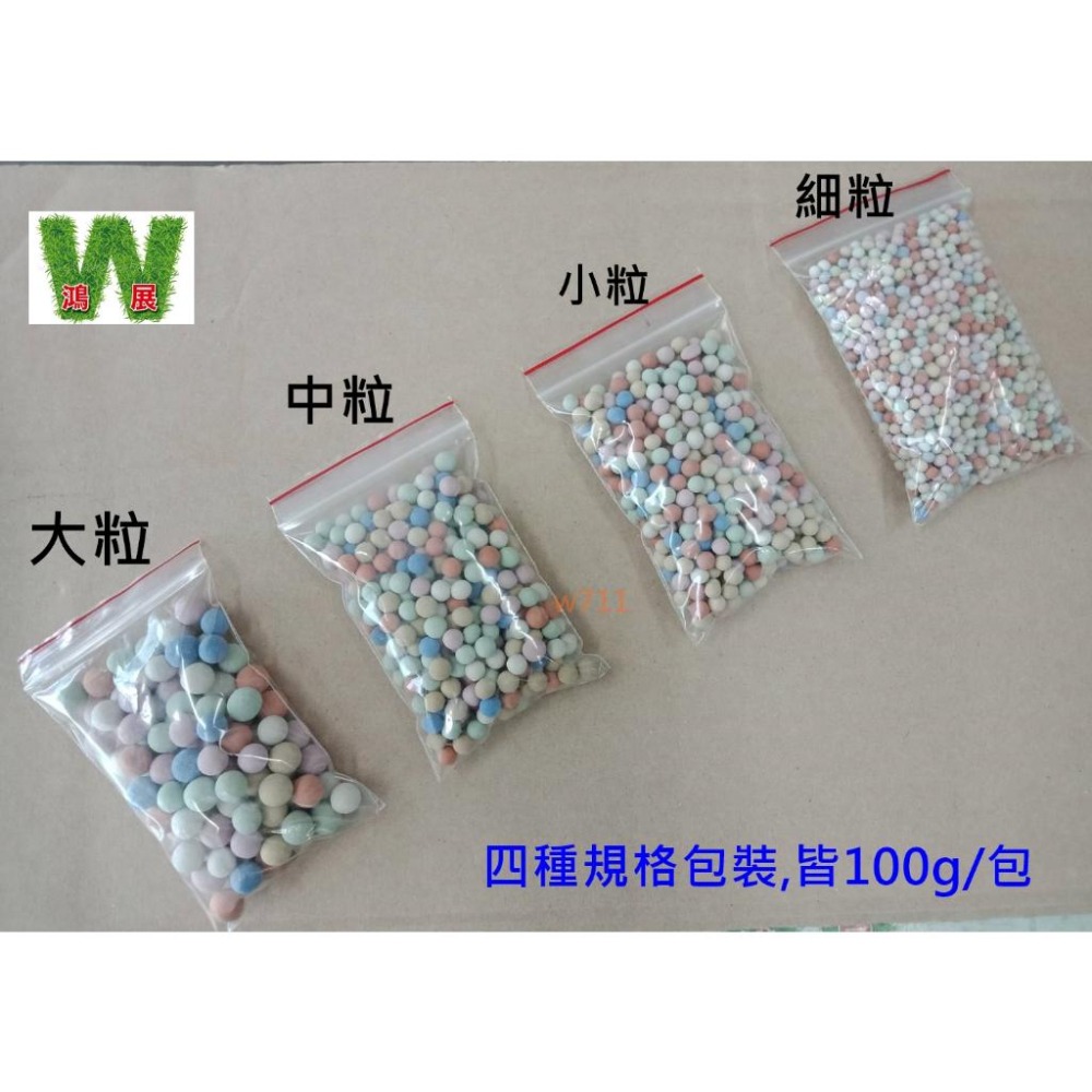 彩色陶粒 100g 彩色鋪面 彩色陶石 鋪面裝飾 水耕栽培介質 陶碳土 陶碳球 多肉土 多肉鋪面 多肉介質 w711鴻展-細節圖4