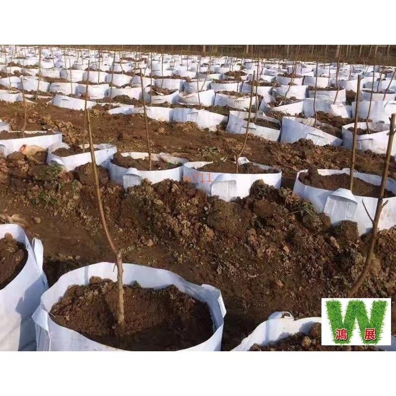 (新品~淺藍色)美植袋 移植袋 綠植袋 透氣耐磨 育苗袋 植物袋 花卉袋 植栽袋 植樹袋 種植袋-細節圖2