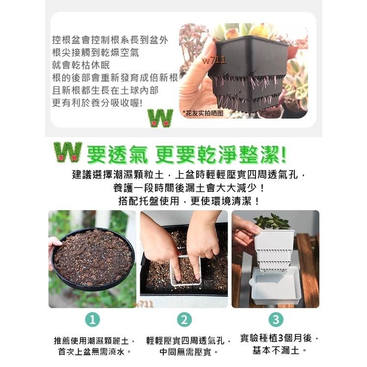 多肉 花盆 花器 花架 盆栽 控根 美蒔控根花盆 <現貨+發票> w711鴻展-細節圖5