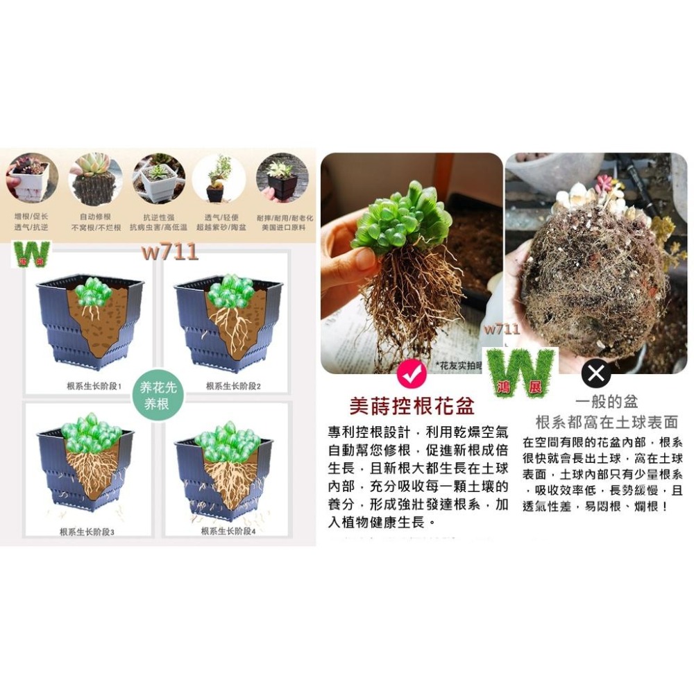 多肉 花盆 花器 花架 盆栽 控根 美蒔控根花盆 <現貨+發票> w711鴻展-細節圖6