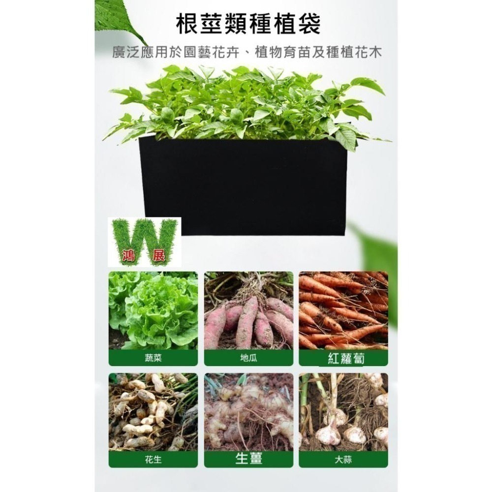 黑色長方形美植袋 加厚移植袋 綠植袋 透氣耐磨 植栽袋 植樹袋 種植袋 育苗袋 植物袋 花卉袋-細節圖6