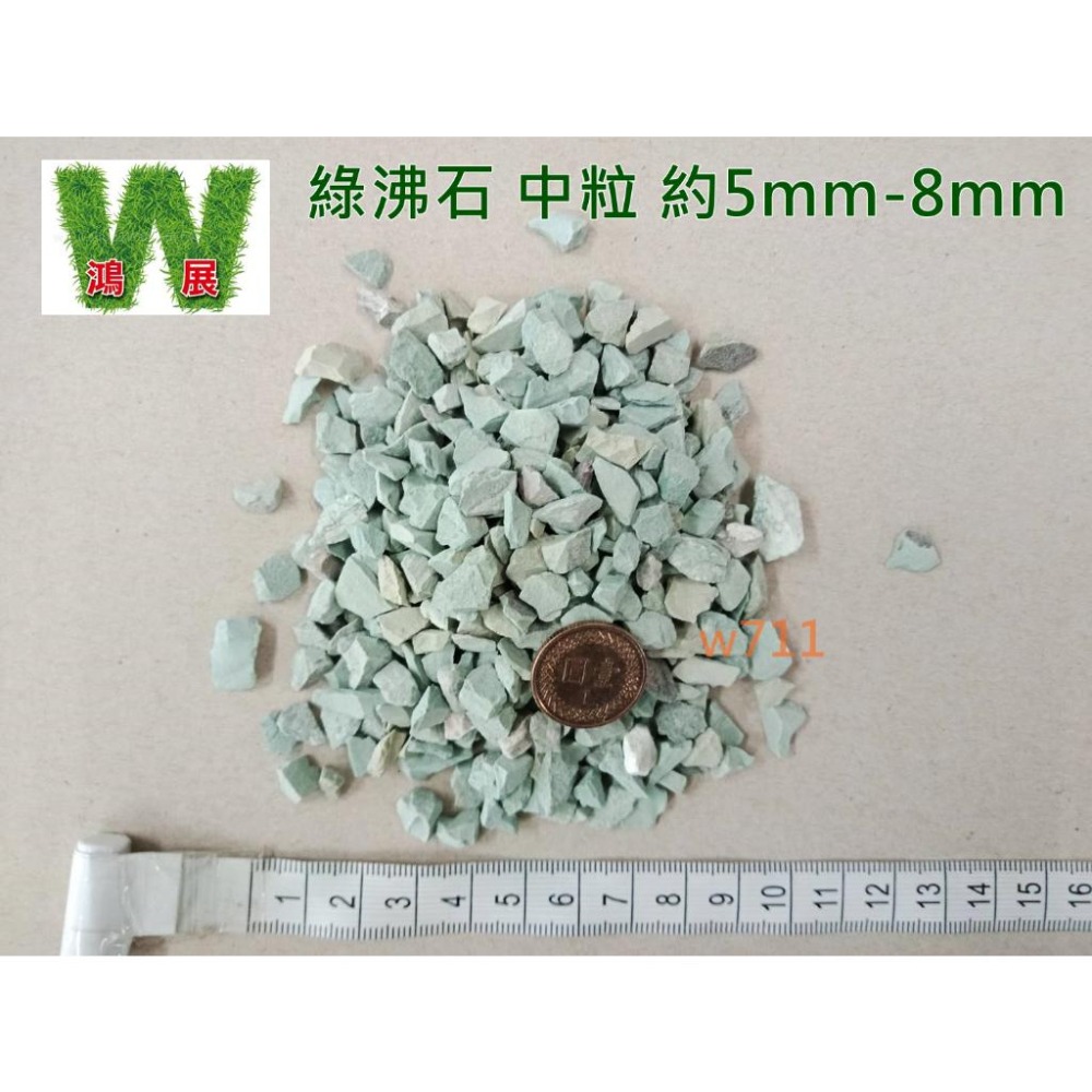 綠沸石 多肉 介質 多肉土 排水透氣 觀葉植物 鋪面 景觀 園藝 盆栽 水耕栽培 W711鴻展 現貨 蝦皮代開發票-細節圖5