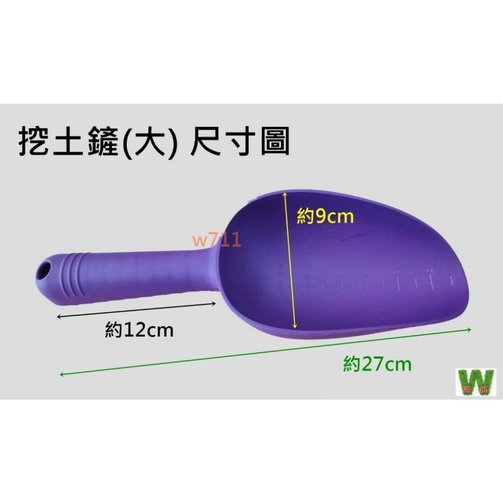 多肉 土鏟 貓砂 鏟子 挖土鏟 鏟子 陽台 種菜 挖土 鏟子 園藝 種花 鬆土 工具 <現貨+發票> w711 鴻展-細節圖5