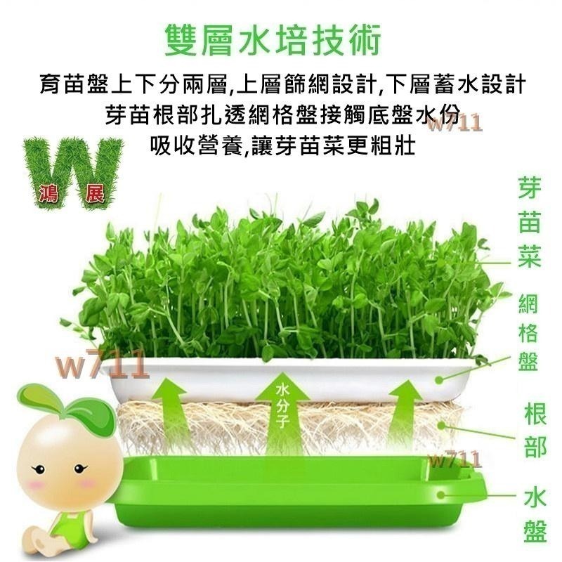 豆芽菜 育苗盤 育苗 保溫盆 含上蓋 花盆 花器 花架 盆栽 豆芽菜育苗盤 育苗保溫盆  <現貨+發票> w711鴻展-細節圖2