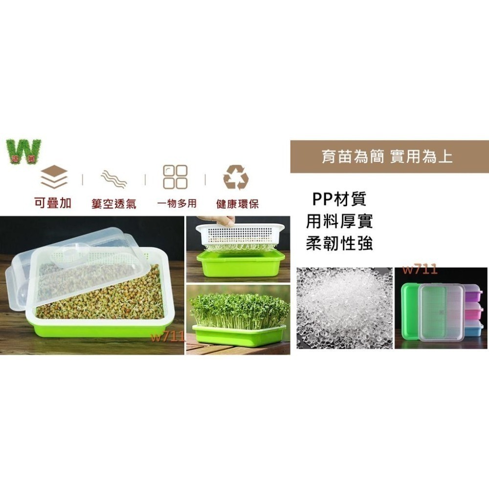 豆芽菜 育苗盤 育苗 保溫盆 含上蓋 花盆 花器 花架 盆栽 豆芽菜育苗盤 育苗保溫盆  <現貨+發票> w711鴻展-細節圖4