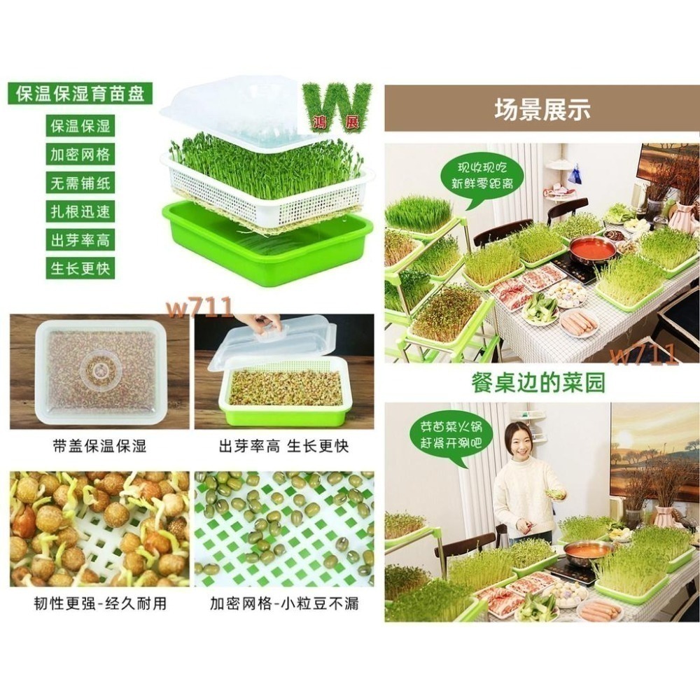 豆芽菜 育苗盤 育苗 保溫盆 含上蓋 花盆 花器 花架 盆栽 豆芽菜育苗盤 育苗保溫盆  <現貨+發票> w711鴻展-細節圖5