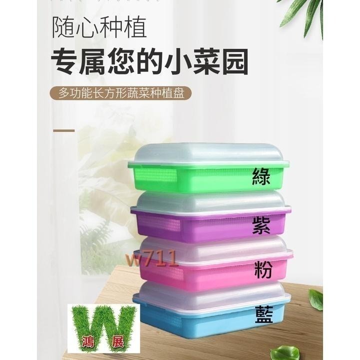 豆芽菜 育苗盤 育苗 保溫盆 含上蓋 花盆 花器 花架 盆栽 豆芽菜育苗盤 育苗保溫盆  <現貨+發票> w711鴻展-細節圖7
