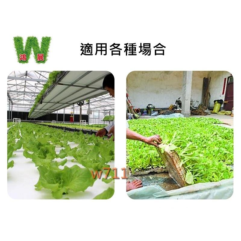 水耕 水培透明盆 透明控根盆 水培 魚菜共生 無土栽培 園藝多肉盆栽觀葉水族盆器 隔離盒 <現貨+發票> w711鴻展-細節圖6