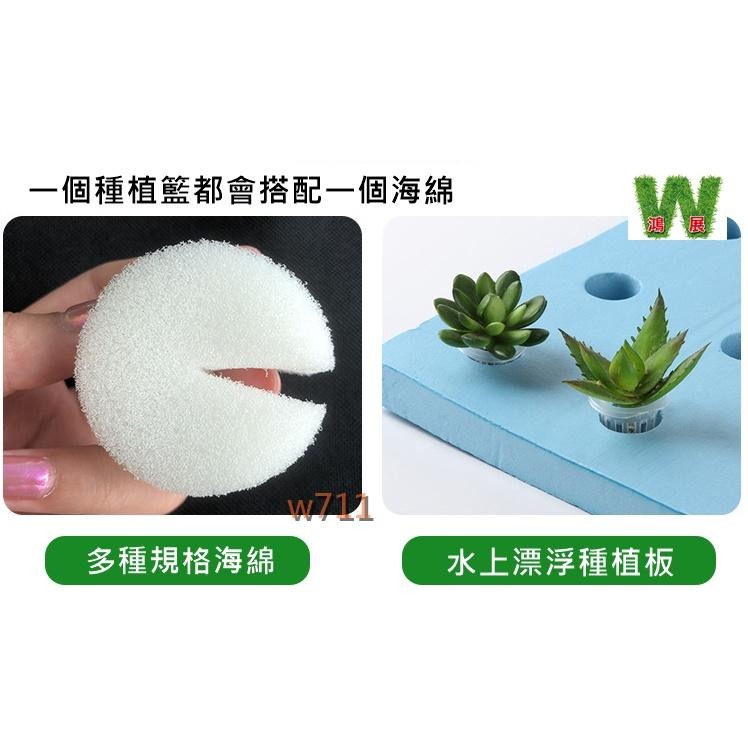 水耕 水培透明盆 透明控根盆 水培 魚菜共生 無土栽培 園藝多肉盆栽觀葉水族盆器 隔離盒 <現貨+發票> w711鴻展-細節圖7