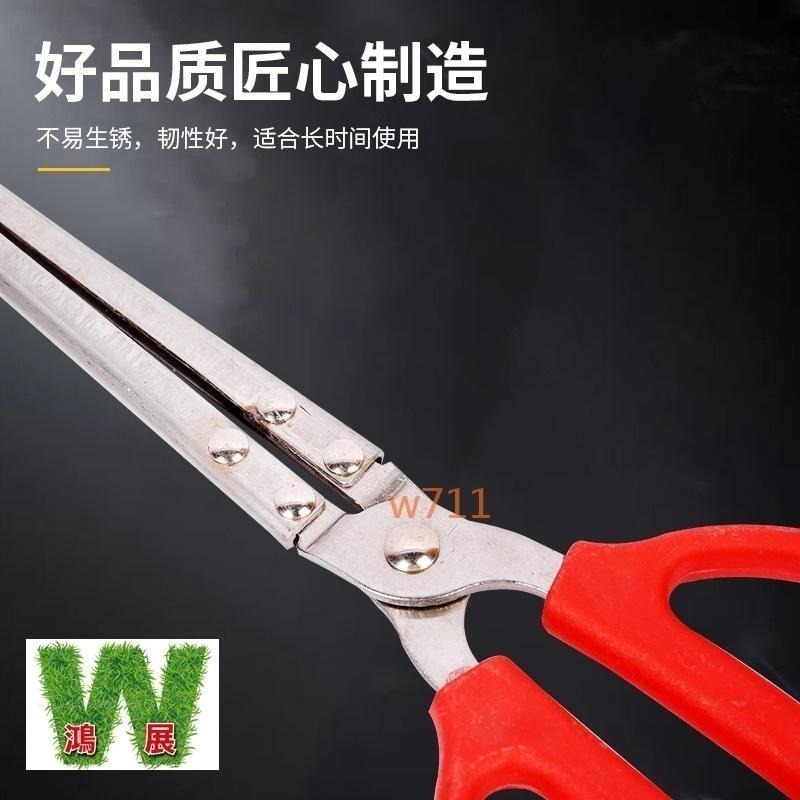 火鉗 黃鱔鉗 夾子 燒烤夾 垃圾夾 鉗子 趕海鉗 碳鉗 防滑夾 防滑鉗 黃鱔夾 龍蝦夾 螃蟹夾 泥鍬夾 W711鴻展-細節圖2