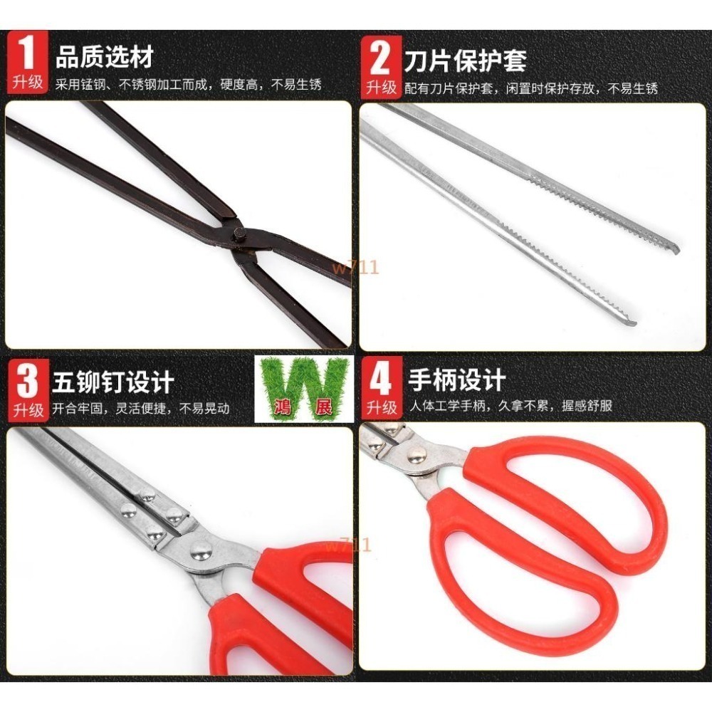 火鉗 黃鱔鉗 夾子 燒烤夾 垃圾夾 鉗子 趕海鉗 碳鉗 防滑夾 防滑鉗 黃鱔夾 龍蝦夾 螃蟹夾 泥鍬夾 W711鴻展-細節圖4